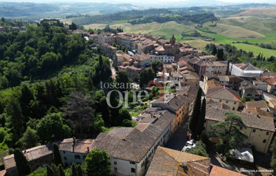panorama -2.jpg