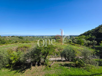 casa morrona -2