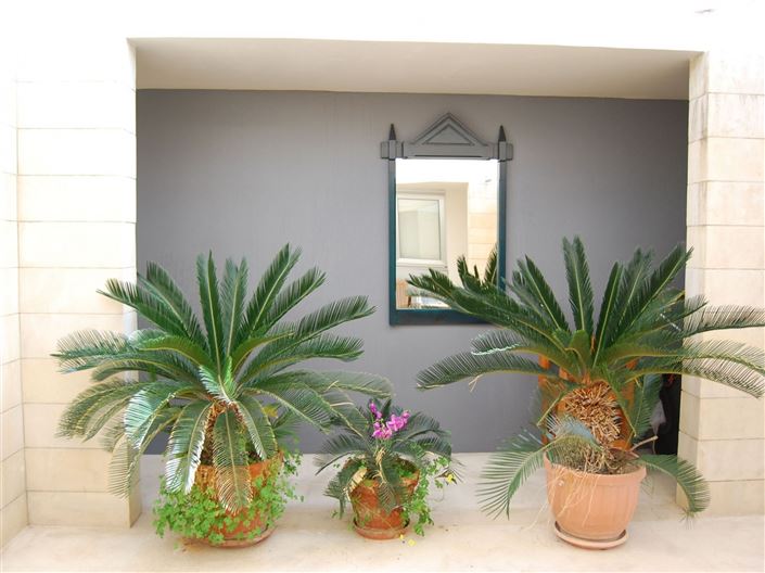 Image No.10-5 Bed House for sale