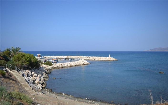 Image No.8-Bungalow de 3 chambres à vendre à Pomos