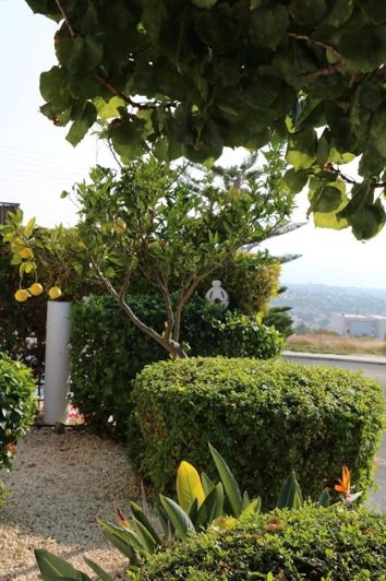 Image No.18-3 Bed Bungalow for sale