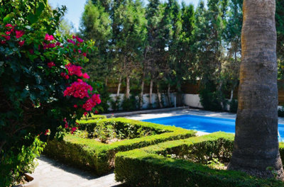 335fb1f6-5aff-4d6a-83c5-315d0d3b40b3