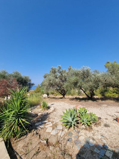 Image No.23-4 Bed House for sale