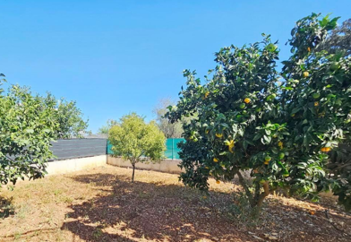 47bb9a07-456b-4b91-9fc0-7fa5bc4991aa