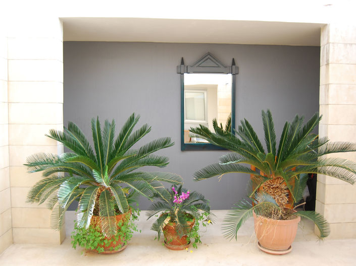 Image No.12-5 Bed House for sale