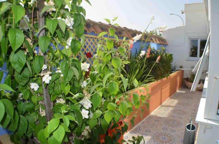 Image No.20-Villa de 4 chambres à vendre à Playa Flamenca