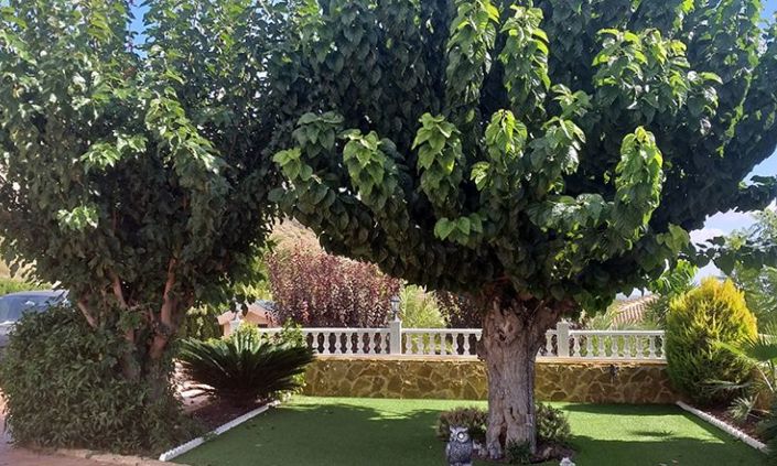 Image No.36-Villa de 5 chambres à vendre à Hondón de las Nieves