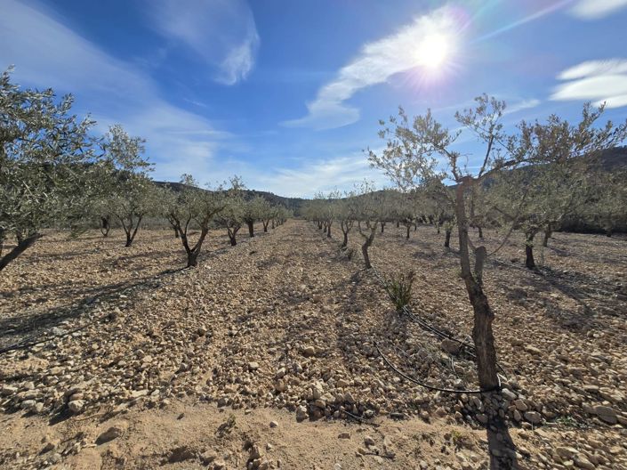 Image No.2-Plot for sale