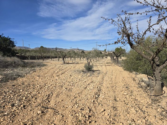 Image No.3-Plot for sale