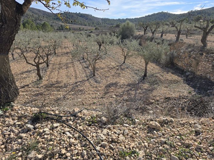 Image No.4-Plot for sale