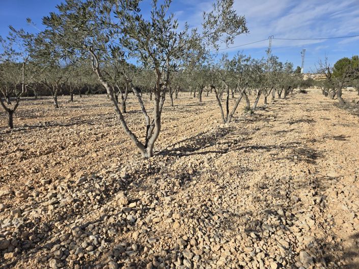 Image No.5-Plot for sale