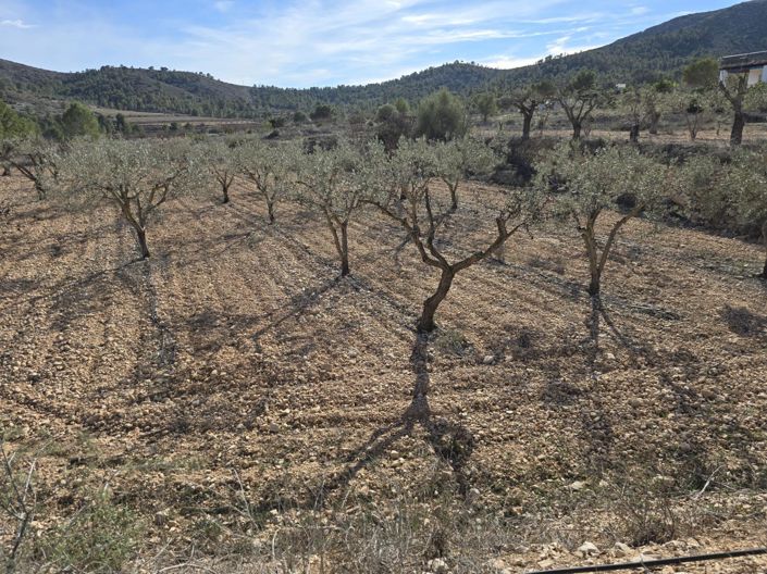 Image No.6-Plot for sale