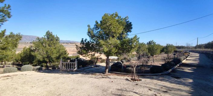 Image No.32-Maison de campagne de 3 chambres à vendre à Pinoso