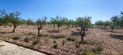 27802-villa-for-sale-in-pinoso-1617628-large