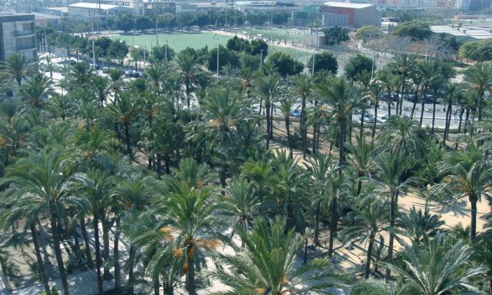 Image No.30-Appartement de 3 chambres à vendre à Elche