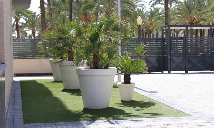 Image No.37-Appartement de 3 chambres à vendre à Elche