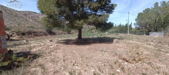 Image No.3-Country House for sale