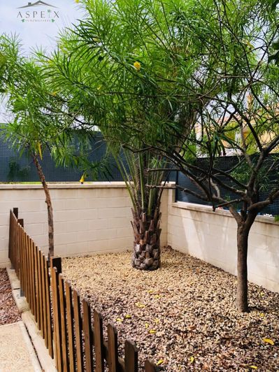 Image No.15-3 Bed Villa for sale