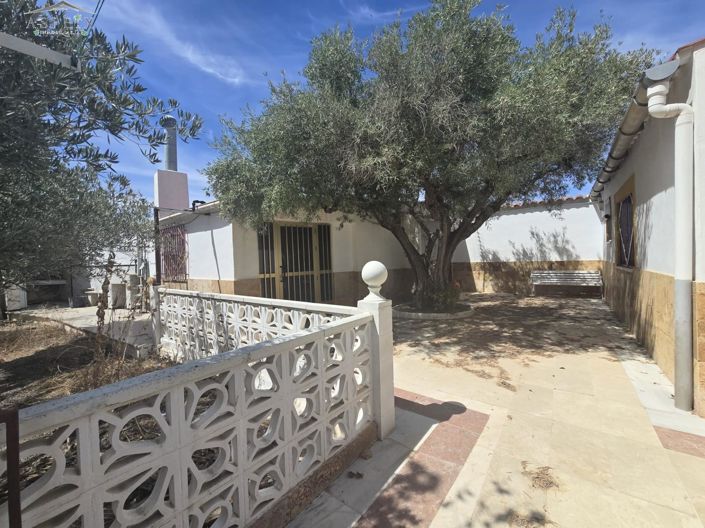 Image No.11-3 Bed Country House for sale