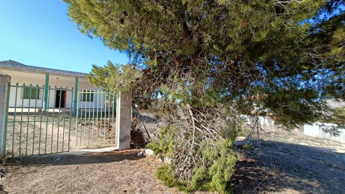 Image No.19-3 Bed Country House for sale