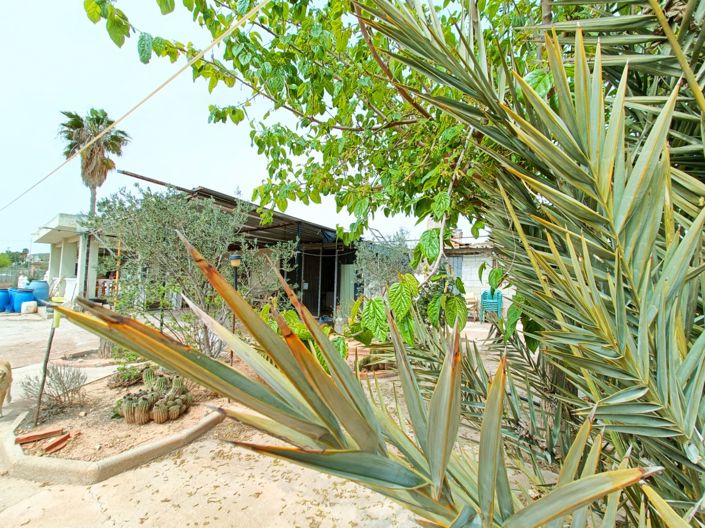 Image No.3-4 Bed Country House for sale