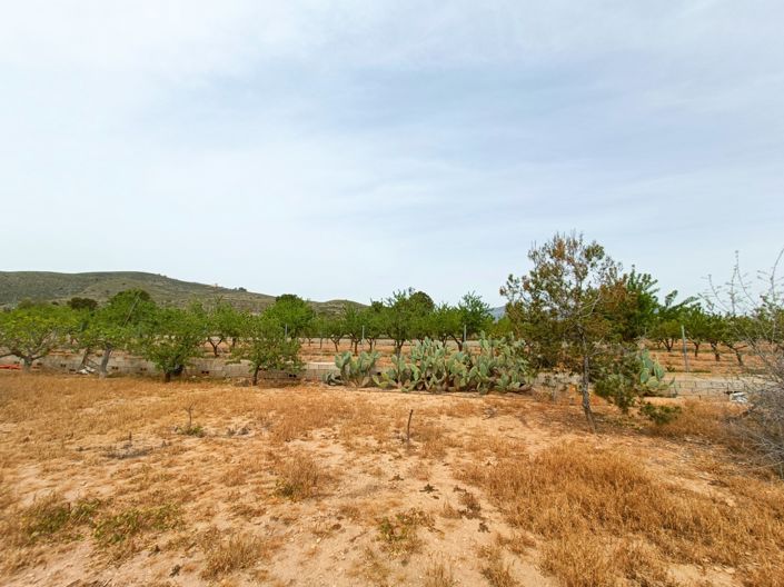 Image No.33-4 Bed Country House for sale