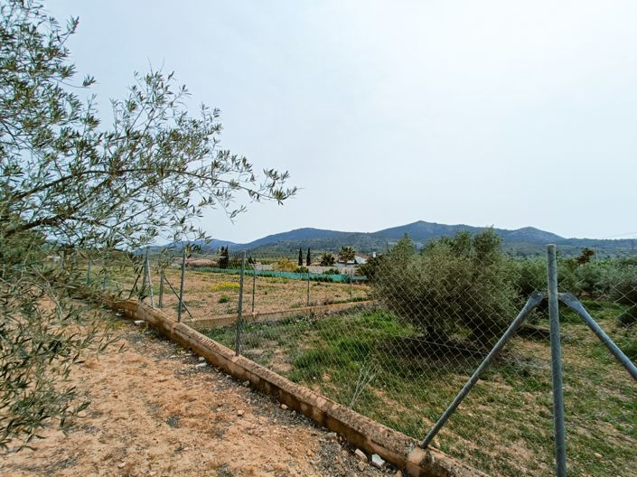 Image No.40-4 Bed Country House for sale