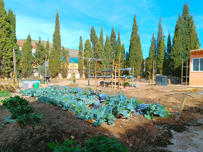 Image No.47-5 Bed Country House for sale