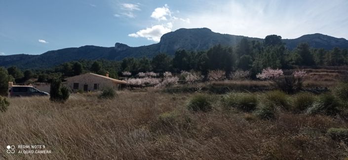 Image No.8-Plot for sale