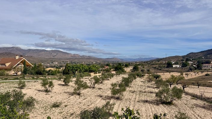 Image No.19-4 Bed Country House for sale