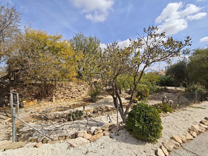 Image No.12-Maison de campagne de 4 chambres à vendre à Pinoso