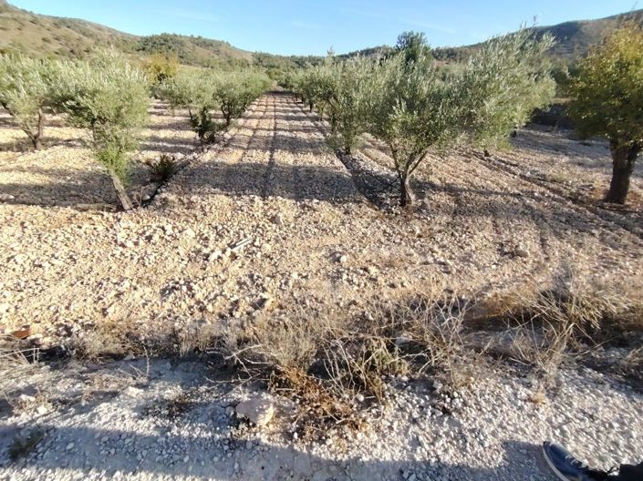 Image No.2-Plot for sale