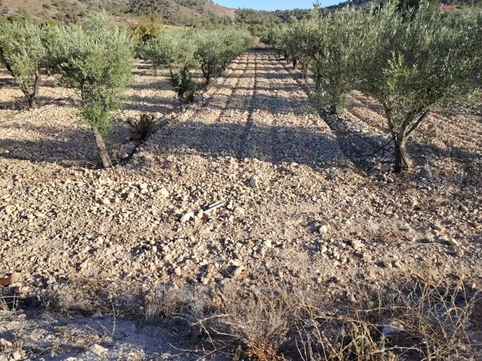 Image No.3-Plot for sale