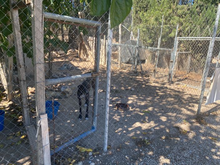 Image No.41-Maison de campagne de 3 chambres à vendre à Salinas
