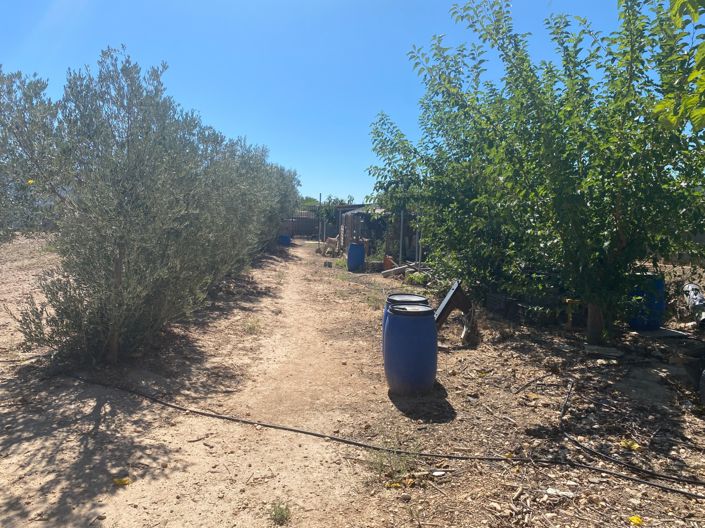 Image No.43-Maison de campagne de 3 chambres à vendre à Salinas