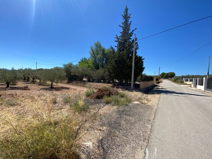 Image No.46-Maison de campagne de 3 chambres à vendre à Salinas