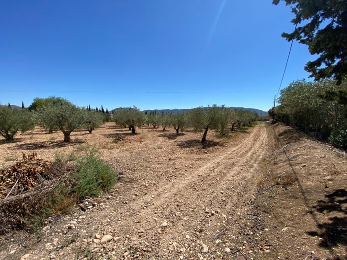 Image No.48-Maison de campagne de 3 chambres à vendre à Salinas