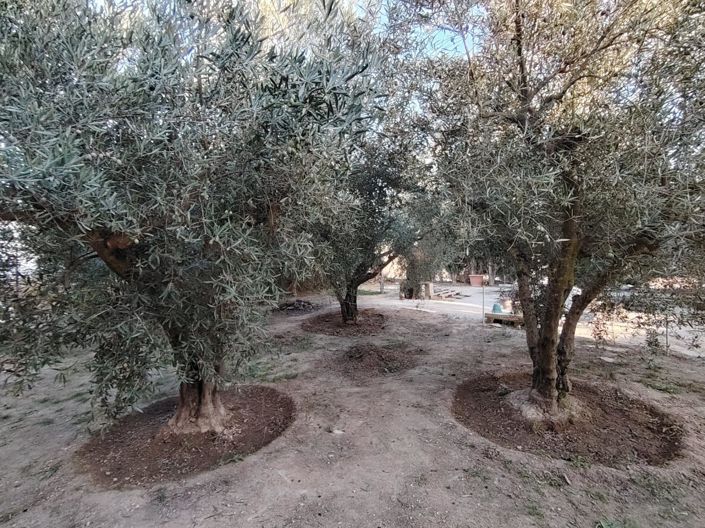 Image No.1-3 Bed Country House for sale