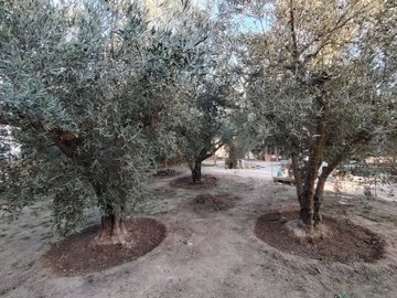 3 Bed Country House for sale