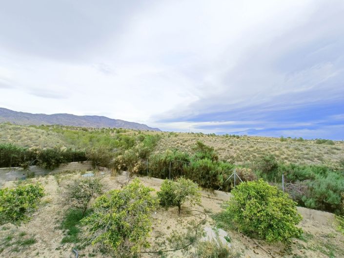 Image No.47-Maison de campagne de 3 chambres à vendre à Albatera