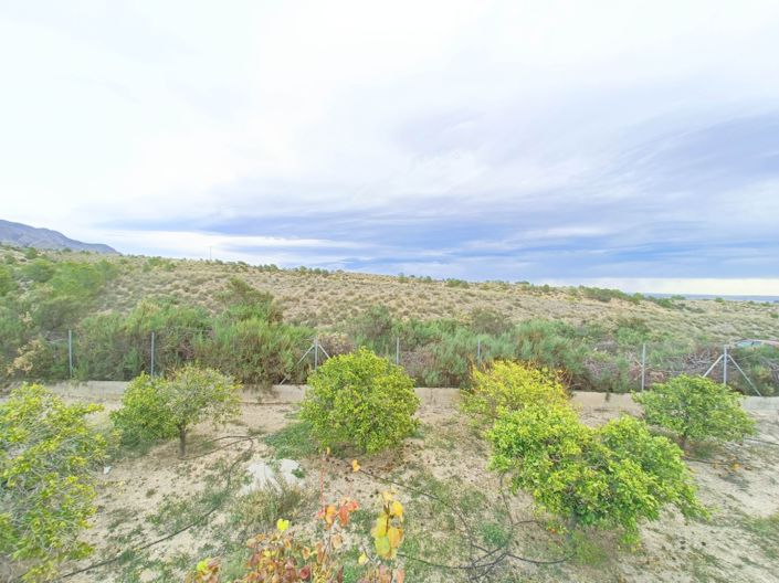 Image No.48-Maison de campagne de 3 chambres à vendre à Albatera