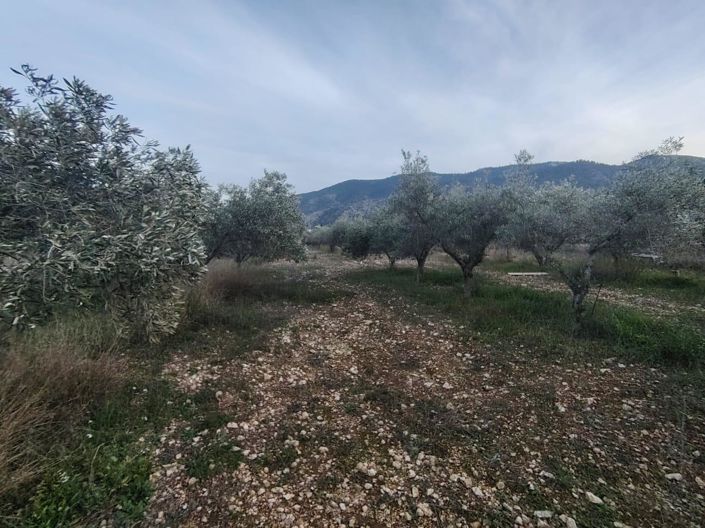 Image No.11-2 Bed Country House for sale