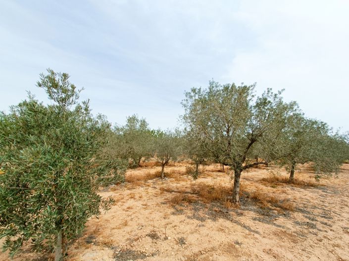 Image No.31-Villa de 4 chambres à vendre à Hondón de los Frailes