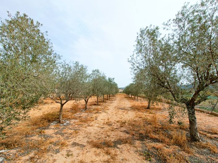 Image No.34-Villa de 4 chambres à vendre à Hondón de los Frailes