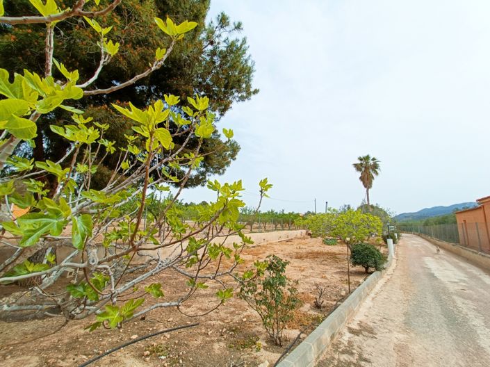 Image No.6-Villa de 4 chambres à vendre à Hondón de los Frailes