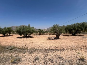 o1itfo116a13l41ueja21kj24rn2l