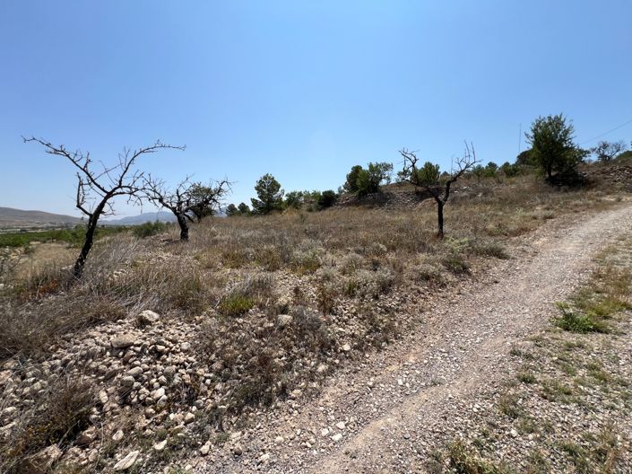 Image No.28-Plot for sale