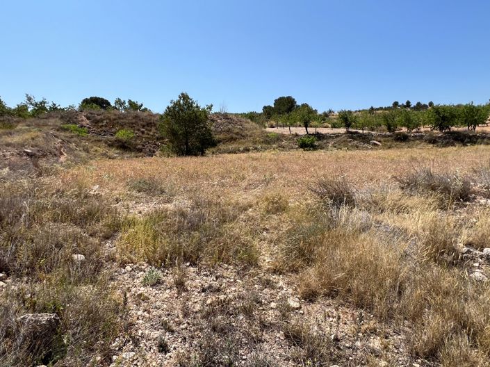 Image No.30-Plot for sale