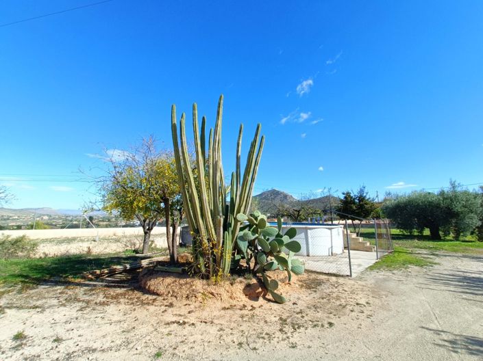 Image No.7-4 Bed Villa for sale