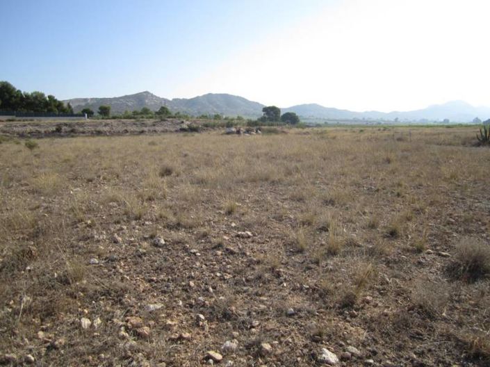 Image No.2-Country House for sale